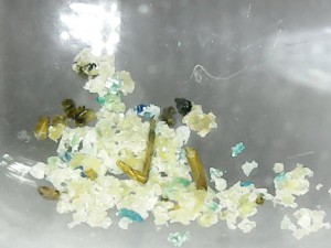 Une belle petite réserve encore., [Blog] Crematogaster scutellaris Ovny & Ovnie