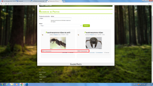 bug4, Galerie photo ne fonctionne pas