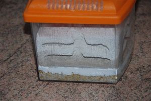 Cliquer pour agrandir., Nid en test