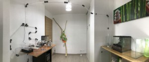 vue d'ensemble, [Blog] Atta sexdens