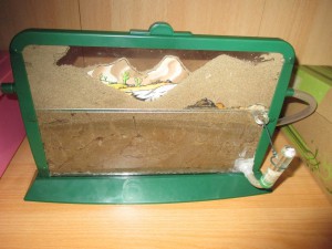 Le systeme d'hydratation., Fabrication des petites adf du commerce