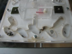 Nid vagus, Les colonies de Damian