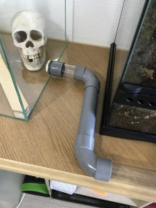 Tube PVC gris, [Blog] Atta sexdens