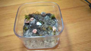 Photo de mon ADC, Création d'une ADC plus besoin de conseil.