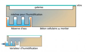 Image du guide du débutant, Humidification nid en plâtre