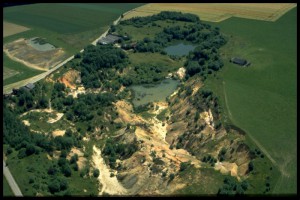 Une ancienne sablière, Du grand nord : les fourmis, où les trouver ?