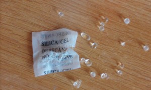 Ceci pourrait tout aussi bien être une solution., Où mettre mes colonies pour la diapause ?