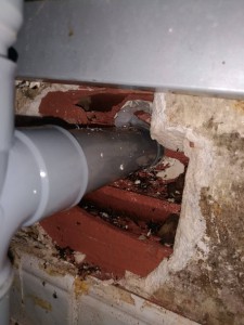 Photo 1, Récupérer mes Crematogaster évadées dans la chambre