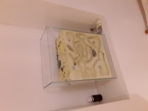 Vitre tenue par des écrous, Nid tout en verre et creusable ;-)