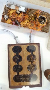 Colonie de Crematogaster scutellaris dans un nid en bois., Nid en bois dans un Mancala pour Crematogaster scutellaris