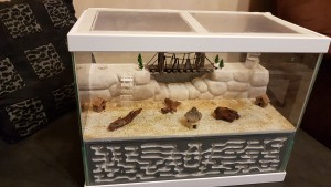 Nid + plafond en travaux ^^, Projet nid/adf  dans un aquarium