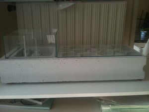 Vue de profil, Mon tout premier nid en BC:-)