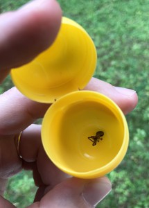 Araignée dans capsule « cryogénique », « Capsule » de congélation