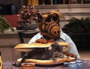J ai mangé le chat, Vous avez des chats ? Youpiee ! Vos fourmis vont se régaler