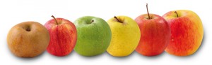 Pommes, Plantes comestibles et non comestibles pour coupeuses de feuilles
