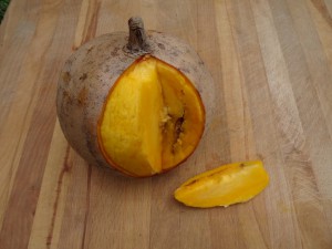 Abricotier des Antilles, Plantes comestibles et non comestibles pour coupeuses de feuilles