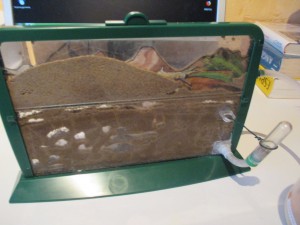 Et voilà !, Comment humidifier un nid type sandwich en verre ou quelles espèces y maintenir ?