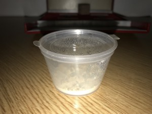 Petite boite avec semelle en plâtre, **Fin**[Blog] Nouvelles aventures avec les Atta sexdens