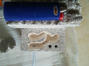 Nid 1, Fondation BC Lasius noire