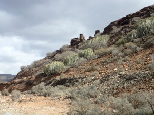 Paysage aride du sud de l'île, Du coté de Gran Canaria