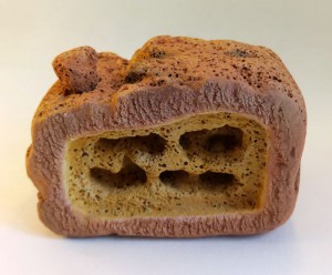 Mini Australia, Nid Arc-en-ciel, mangeoires...le Bc c'est top !