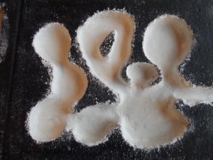 Nid pour C. aethiops, Nid pour Camponotus aethiops