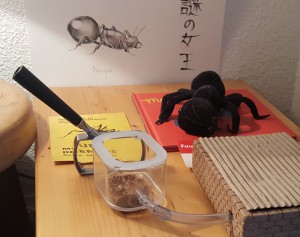 Ensemble de l'installation, [Blog] Messor barbarus / Nazojoo