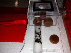 ADC externe et tube d'eau sucrée, [Blog] Camponotus cruentatus d'Harpeg