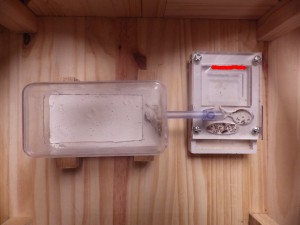 Aperçu général de la fourmilière, [Blog] Lasius sp.