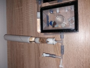 Nid Lasius flavus le 06/05, [Blog] Lasius flavus d'Harpeg