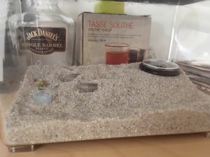 ADC 1, Projet de nid pour Messor barbarus