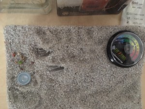 ADC 2, Projet de nid pour Messor barbarus