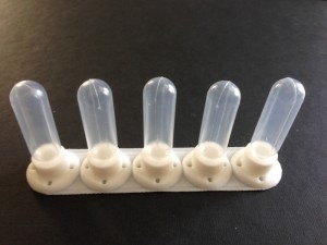 Abreuvoir de test, Problème de croissance Messor barbarus ?