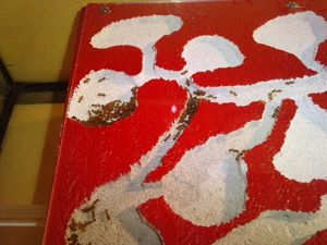 Voici une partie de la colonie, [Blog] Myrmica rubra de Clémentin