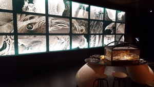Exposition fourmis au Muséum d'histoire naturelle de Genève, Exposition "Fourmis" au Muséum d'histoire naturelle de Genève