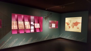 Exposition fourmis au Muséum d'histoire naturelle de Genève, Exposition "Fourmis" au Muséum d'histoire naturelle de Genève