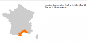 Répartition de la Camponotus foreli en France, [Blog] Les Camponotus foreli eaubonnaises