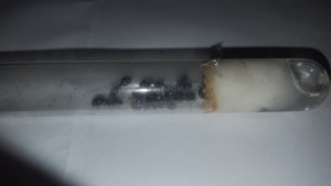 Messor aciculatus reçue telle quelle (10) et tube trèèès sale..., [Blog] Messor aciculatus