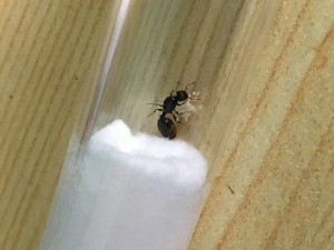 , 1E3BEC55-AB2C-4E3C-9DD3-23FB9E657692.jpeg