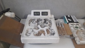 Nouveau nid, Ma deuxième installation