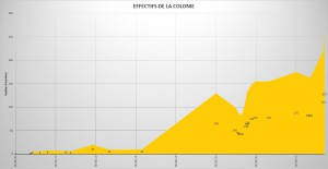 La population des Camponotus pilicornis explose enfin, [Blog] Les Camponotus pilicornis eaubonnaises