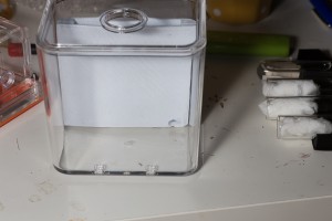 Impression 3D face, Avis sur petite fourmilière impression 3D
