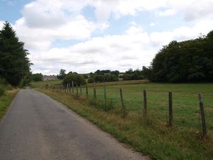 Haute-vienne, Myrmica, identification sp possible ?