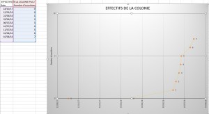 Évolution de la population, [Blog] Les Camponotus pilicornis eaubonnaises