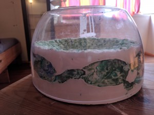 Vision future, Un nid prématuré...