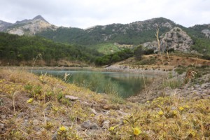 Le biotope en altitude (800-1000m), 