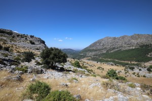 Paysage au delà des 1000 m, 