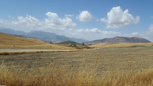 Paysage de plaines andalouses 1, Les fourmis d'Andalousie (Espagne)