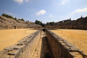 Amphithéâtre d'Italica, Les fourmis d'Andalousie (Espagne)