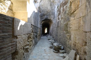 A l'intérieur de l'amphithéâtre d'Italica, Les fourmis d'Andalousie (Espagne)
